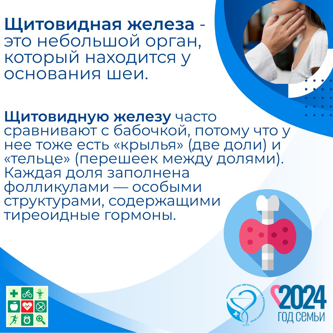 зож
